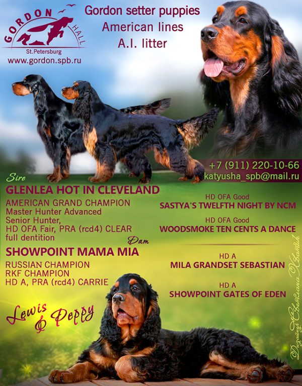 Litter-H-2018-1